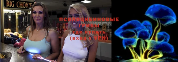 прущая мука Дмитров