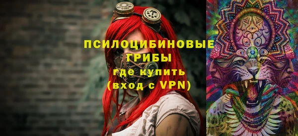 кокс Дмитриев
