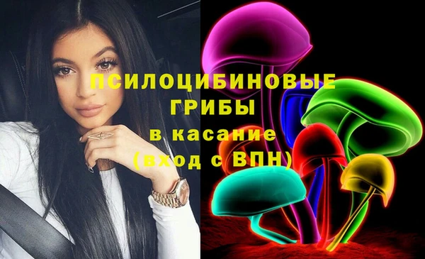 прущая мука Дмитров