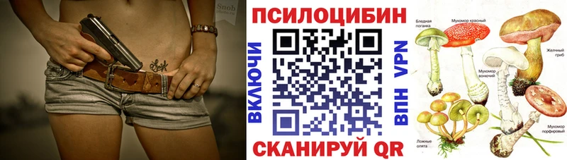 Галлюциногенные грибы MAGIC MUSHROOMS  мега ССЫЛКА  Железногорск-Илимский  где купить наркоту 